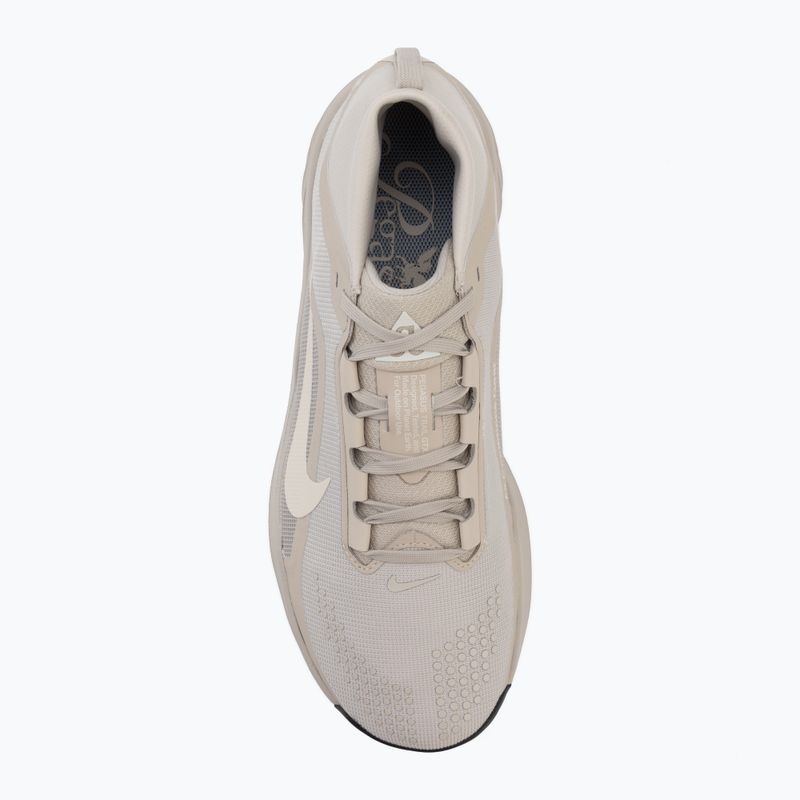 Men's running shoes Nike ACG Pegasus Trail GORE-TEX Cream Ii/Light Orewood Brown 5