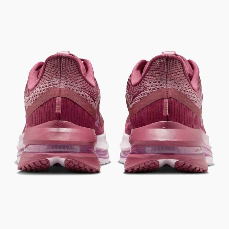 Women's running shoes Nike Pegasus Premium pink smoke/light magenta/pink smoke 6