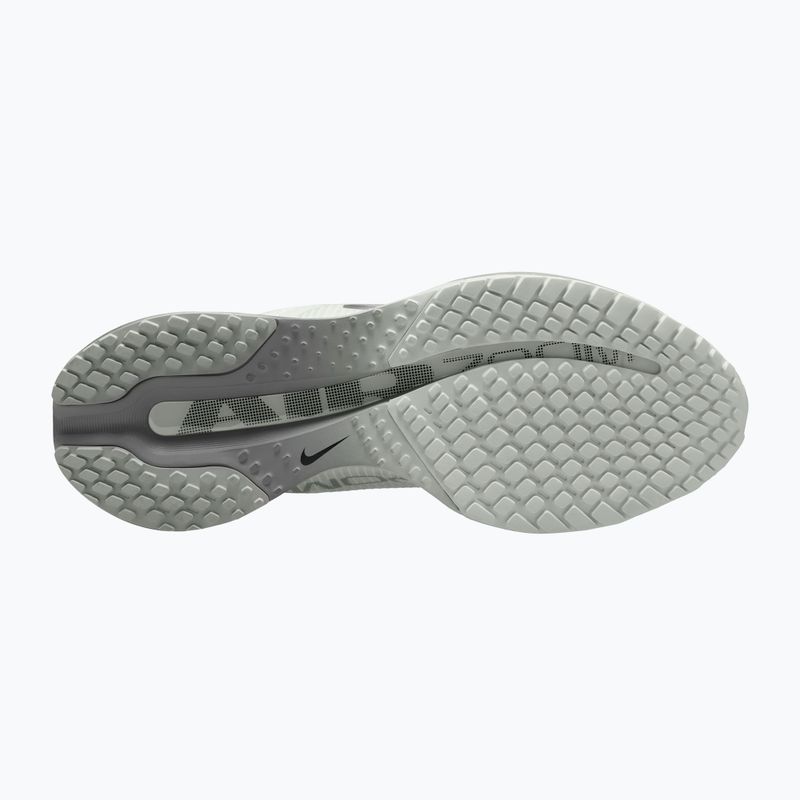 Women's running shoes Nike Pegasus Premium summit white/grey fog/metallic silver 3