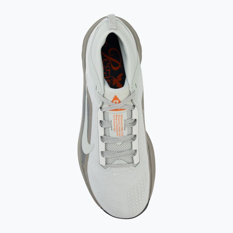 Men's running shoes Nike ACG Pegasus Trail GORE-TEX Light Silver/Light Army/Light Silver 5
