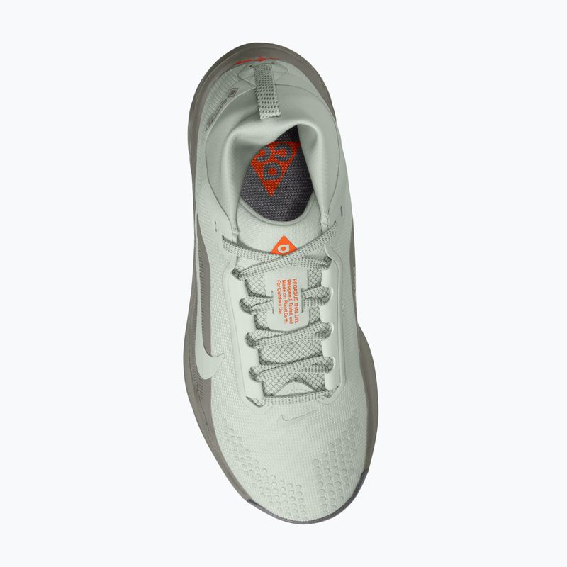 Women's running shoes Nike ACG Pegasus Trail GORE-TEX Light Silver/Light Army/Light Silver 4