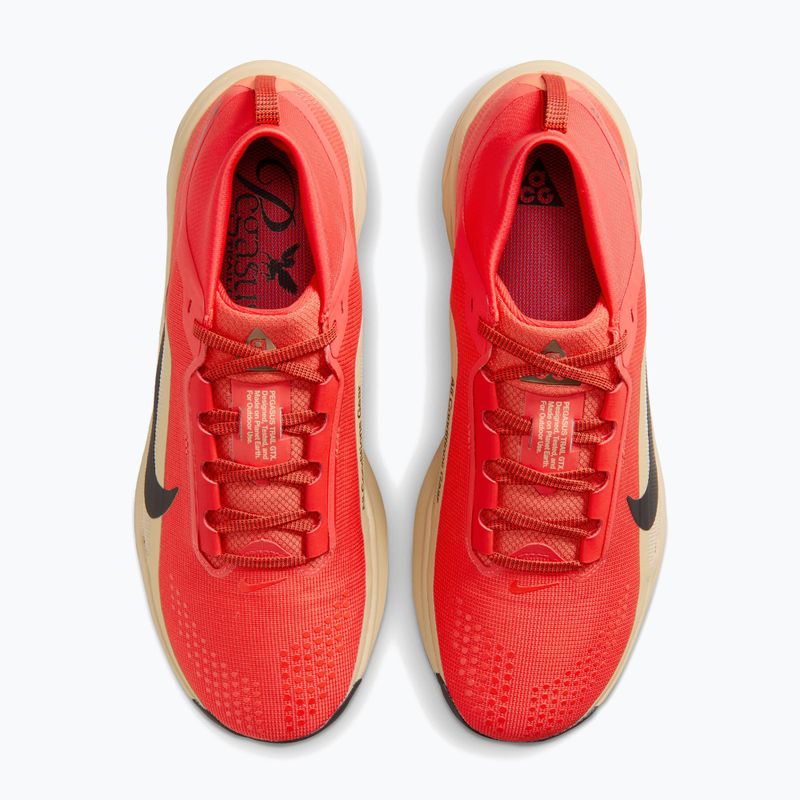 Men's running shoes Nike ACG Pegasus Trail GORE-TEX Light Crimson/Linen/Black 5