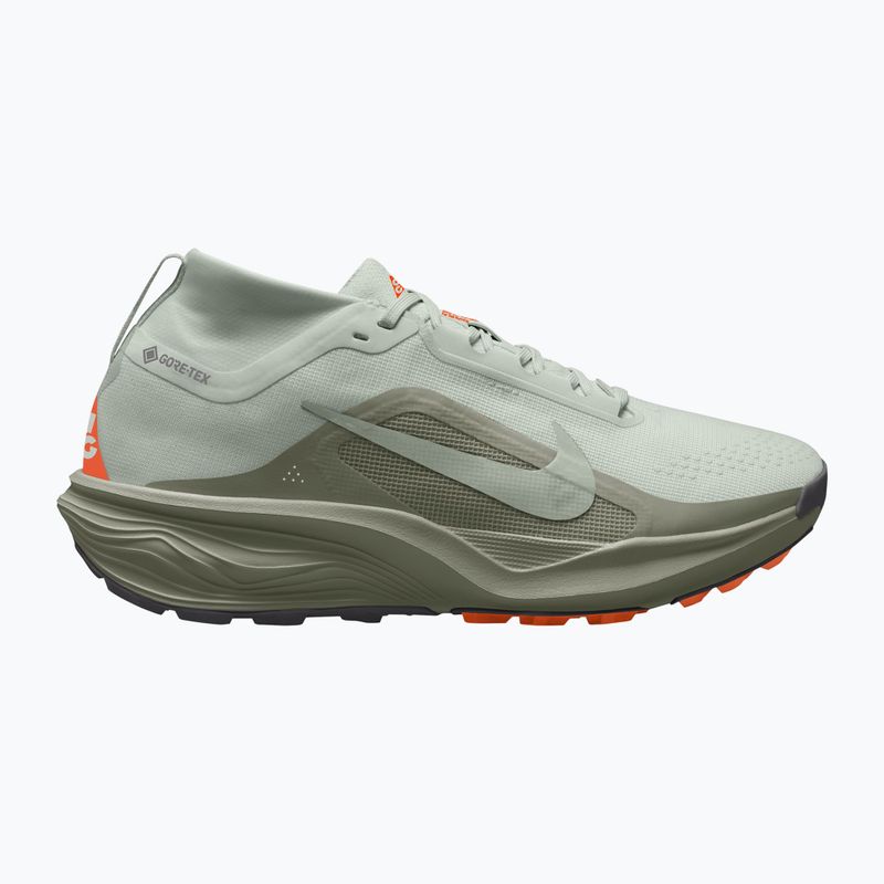 Men's running shoes Nike ACG Pegasus Trail GORE-TEX Light Silver/Light Army/Light Silver