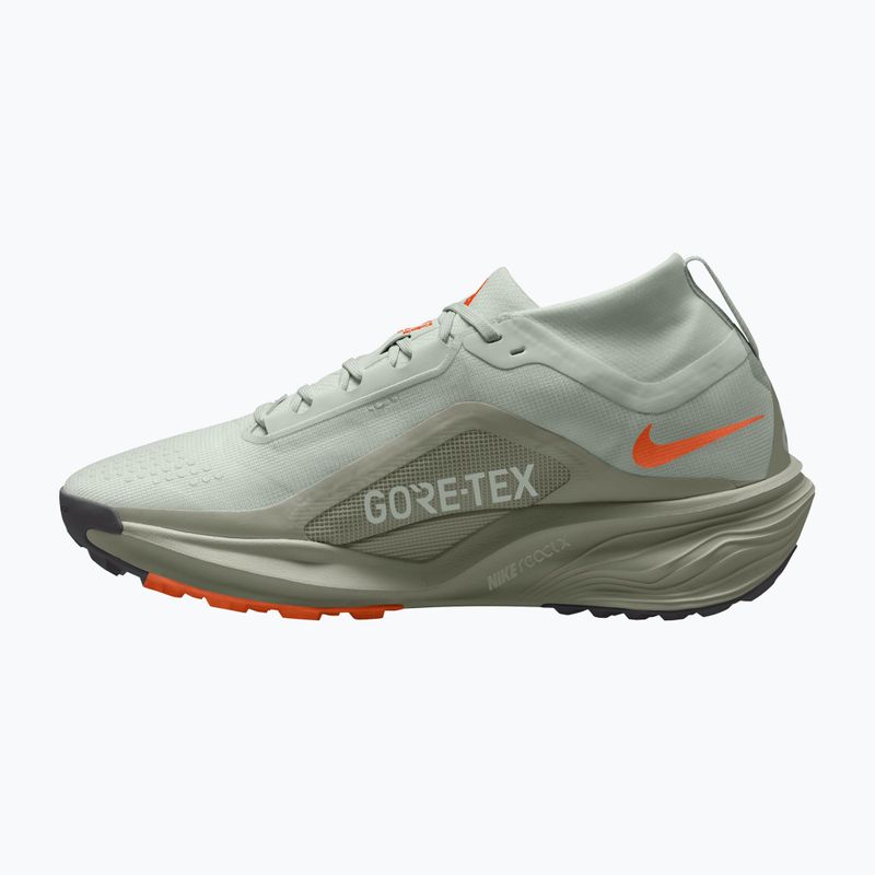 Men's running shoes Nike ACG Pegasus Trail GORE-TEX Light Silver/Light Army/Light Silver 2