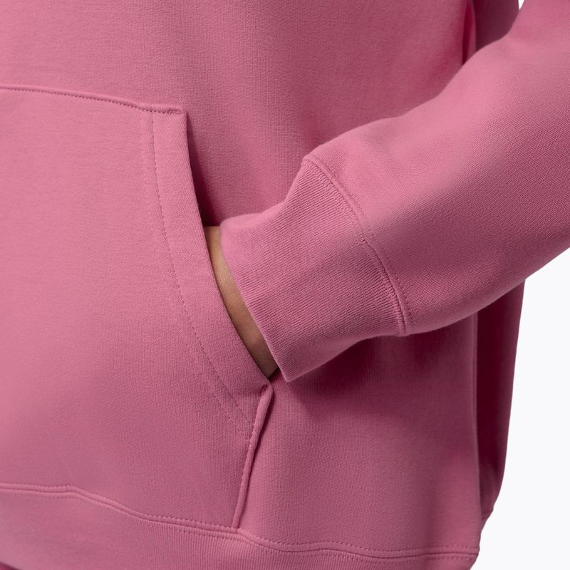 Women's sweatshirt Jordan Fleece Hoodie desert berry/white 7