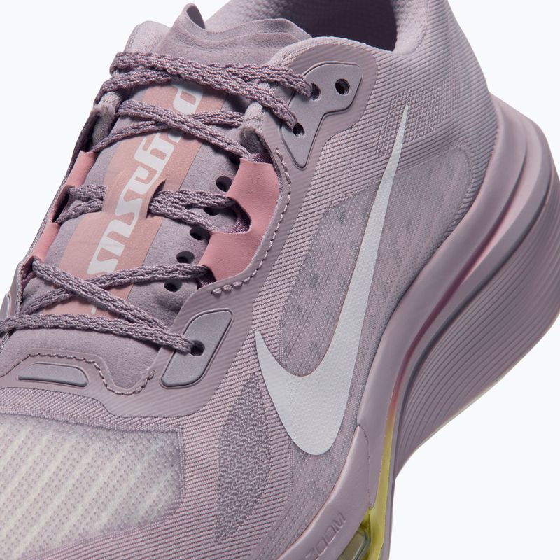 Women's running shoes Nike Pegasus Plus 2 silver lilac/particle rose/fennel/sail 5