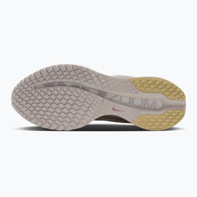 Women's running shoes Nike Pegasus Premium particle rose/silver lilac/sail 3