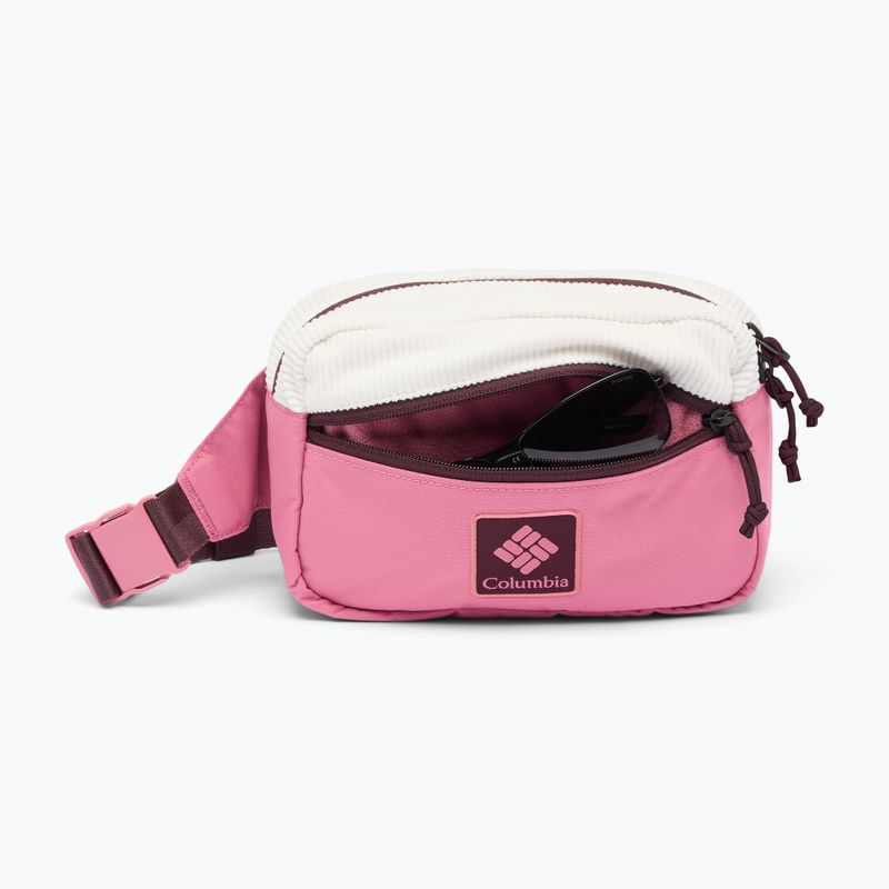 Waist bag Columbia Trail Traveler Hip sea salt/rosette/moonvista 3