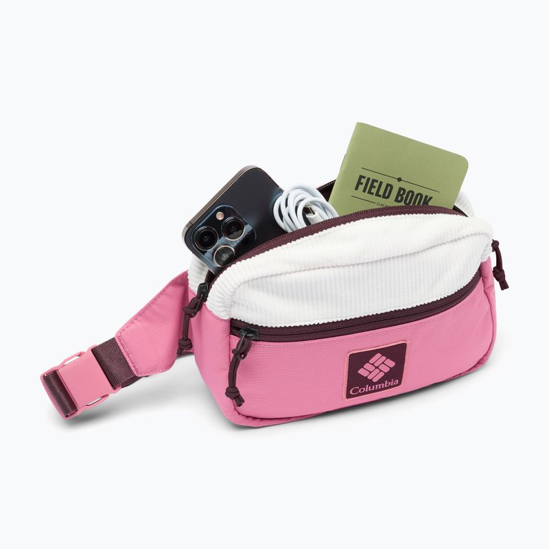 Waist bag Columbia Trail Traveler Hip sea salt/rosette/moonvista 4