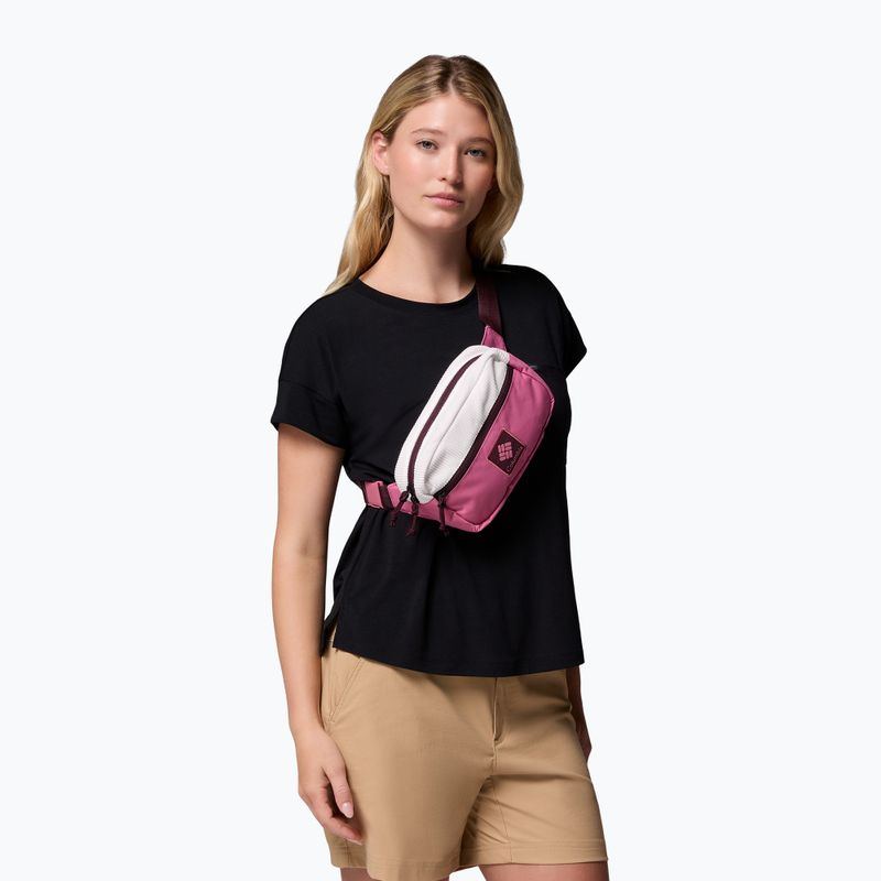 Waist bag Columbia Trail Traveler Hip sea salt/rosette/moonvista 5