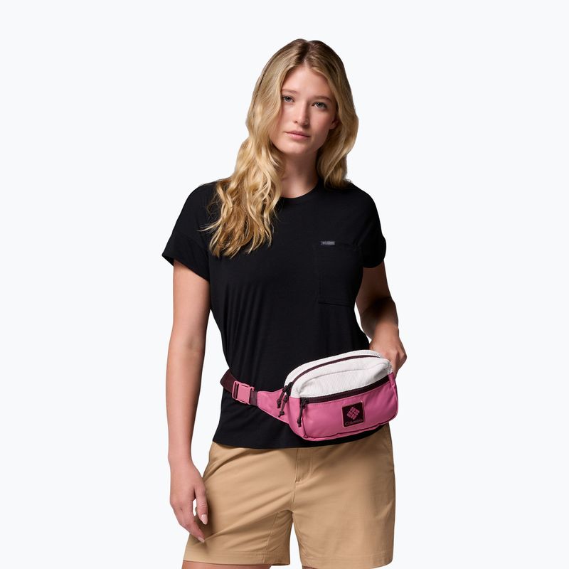 Waist bag Columbia Trail Traveler Hip sea salt/rosette/moonvista 6