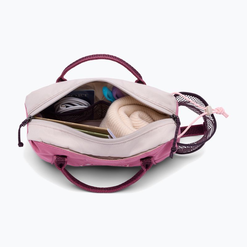 Waist bag Columbia Echo Mountain Hip rosette/dark stone/moonvista 3