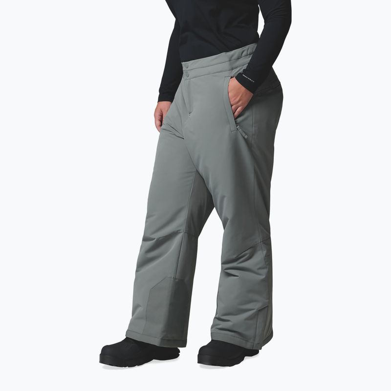Women's ski trousers Columbia Bugaboo III sedona sage 4