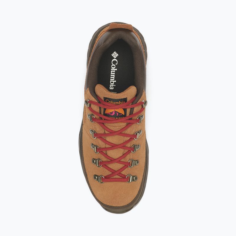 Men's trekking boots Columbia Newton Alpine Low grizzly bear/red oxide 4