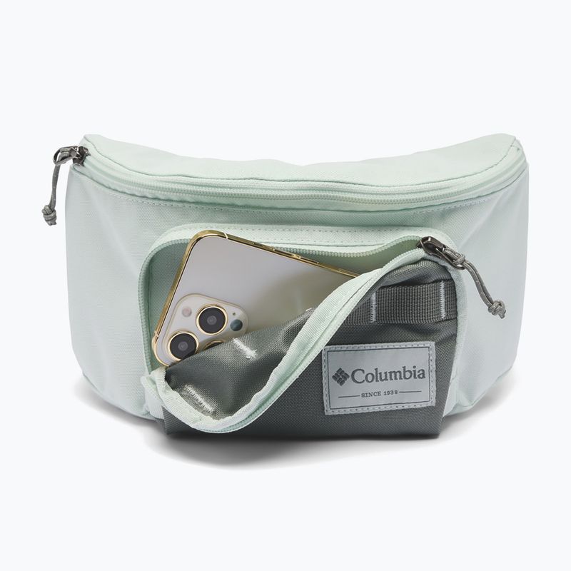Waist bag Columbia Zigzag II Hip Pack 1 l sedona sage/tea light 4