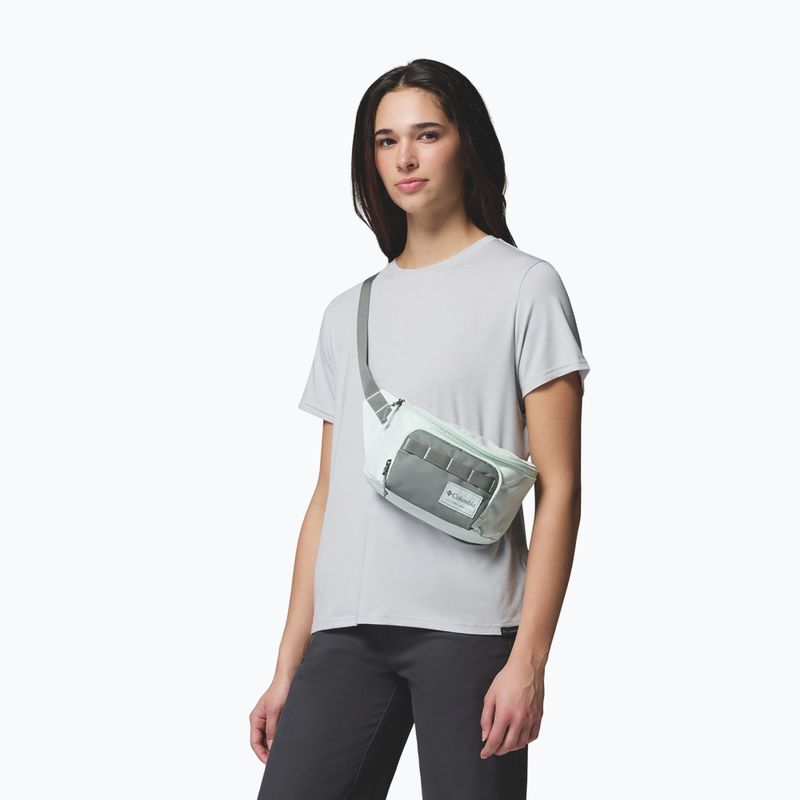 Waist bag Columbia Zigzag II Hip Pack 1 l sedona sage/tea light 5