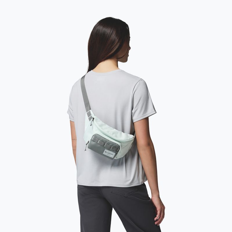 Waist bag Columbia Zigzag II Hip Pack 1 l sedona sage/tea light 6