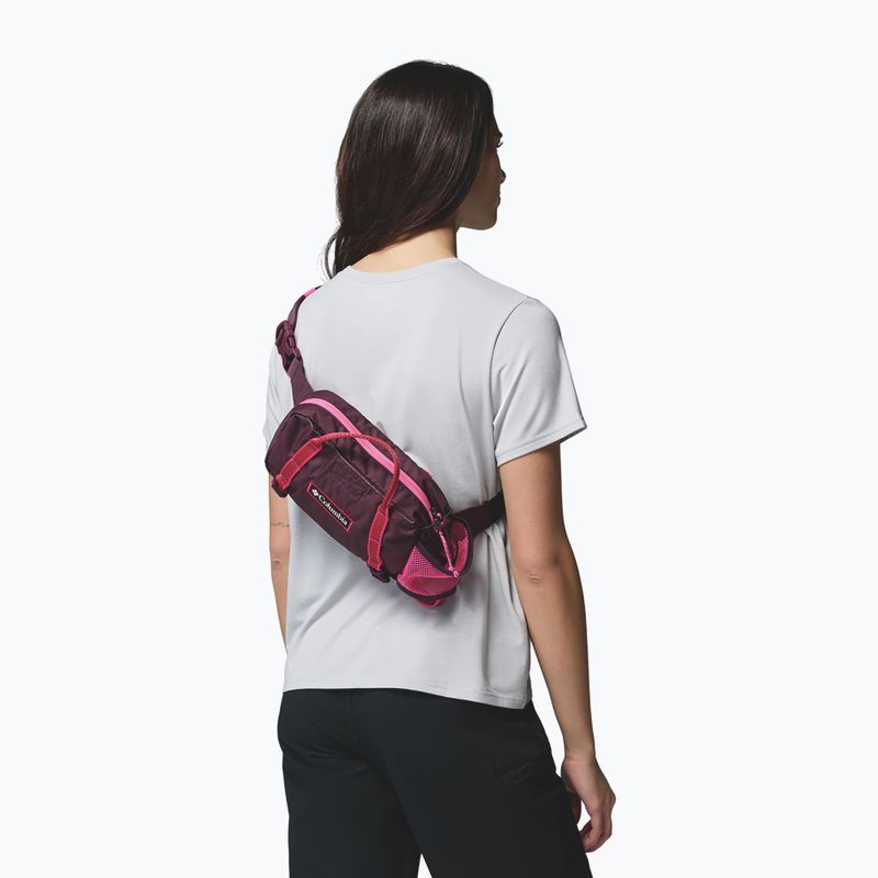 Waist bag Columbia Echo Mountain Hip moonvista/nico 9