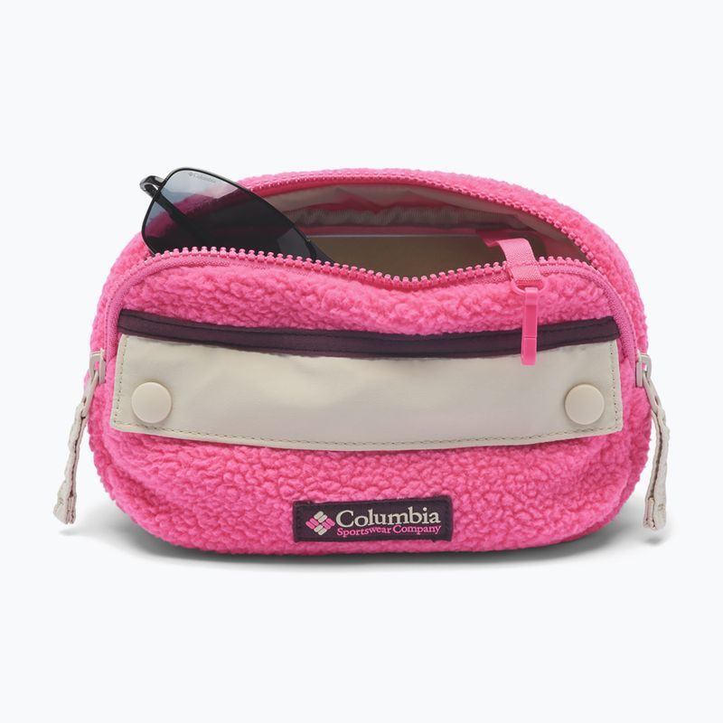 Waist bag Columbia Helvetia II Hip Pack 1 l nico/dark stone 3