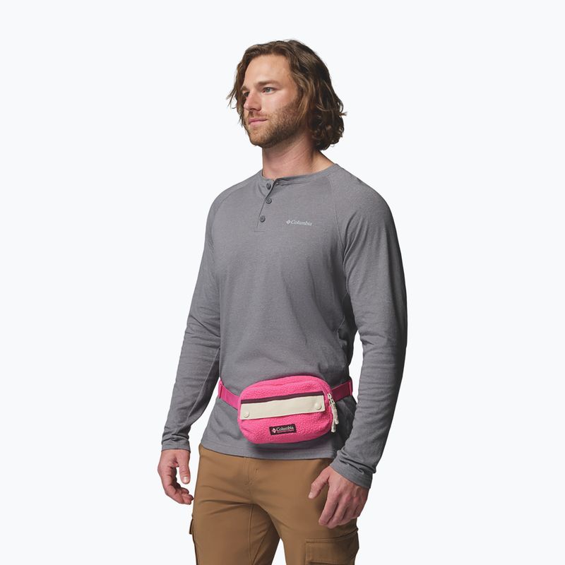 Waist bag Columbia Helvetia II Hip Pack 1 l nico/dark stone 7