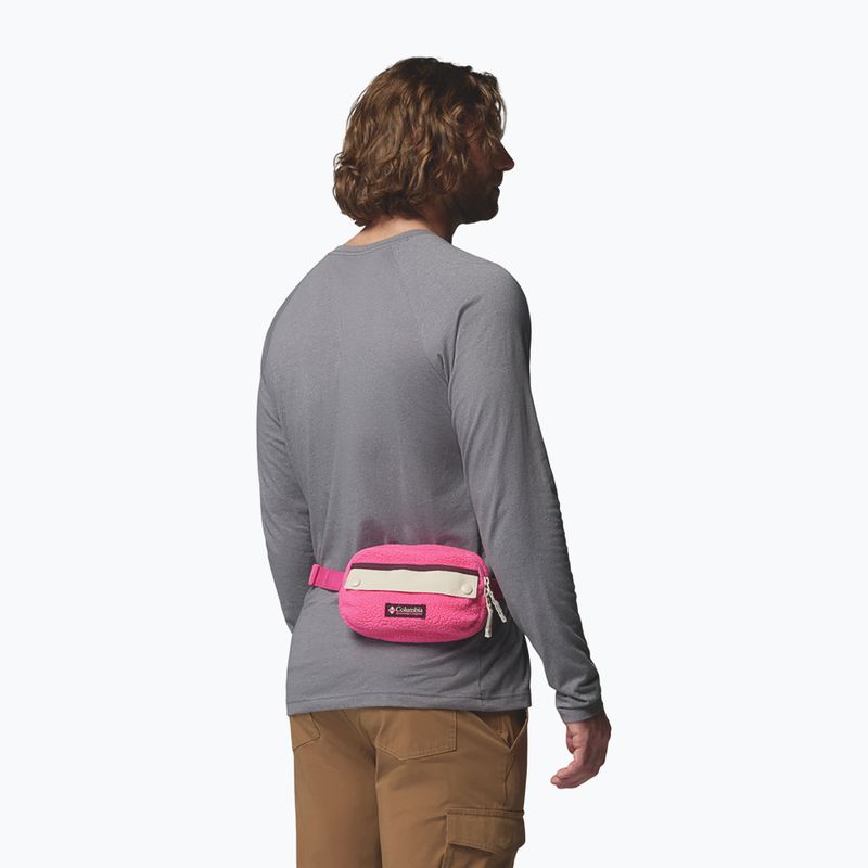 Waist bag Columbia Helvetia II Hip Pack 1 l nico/dark stone 8