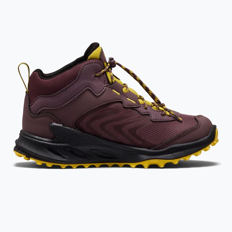 Children's trekking boots KEEN Zionic Mid Wp huckleberry/mango mint 3