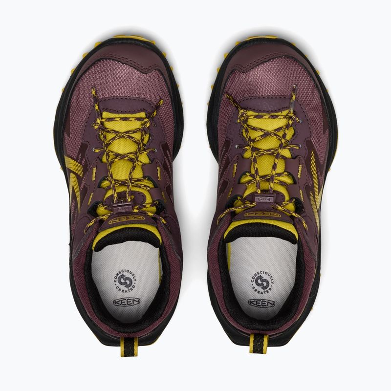 Children's trekking boots KEEN Zionic Mid Wp huckleberry/mango mint 5