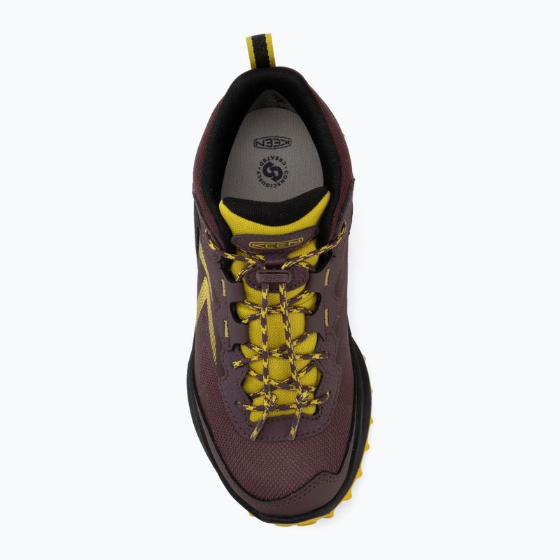 Children's trekking boots KEEN Zionic Mid Wp huckleberry/mango mint 5