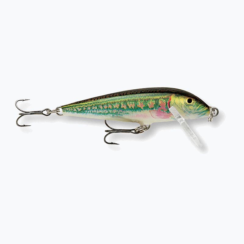 Rapala Countdown minnow wobbler