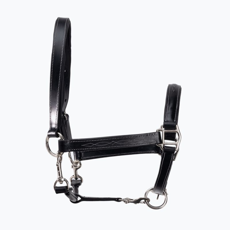 Leather halter for horse Prestige Italia black E53 2