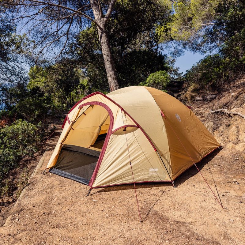 4-person camping tent Coleman Darwin Summer 4 + beige 8