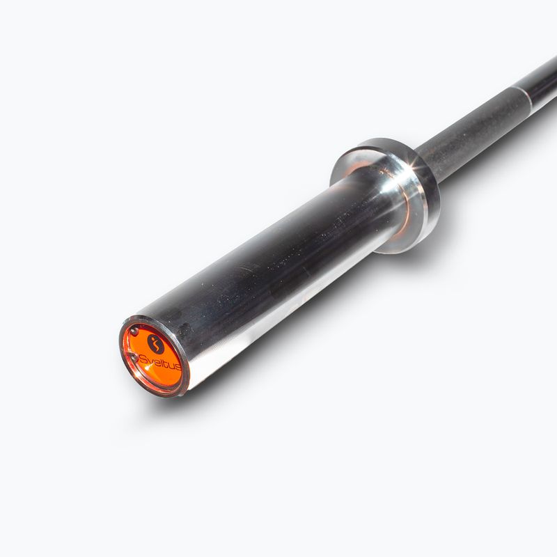 Olympic straight bar Sveltus Training Bar + 2 Clamps chrome 2