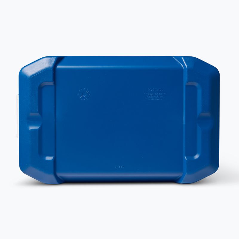 Igloo Latitude 52 49 l ice blue/meteorite tourist fridge 7