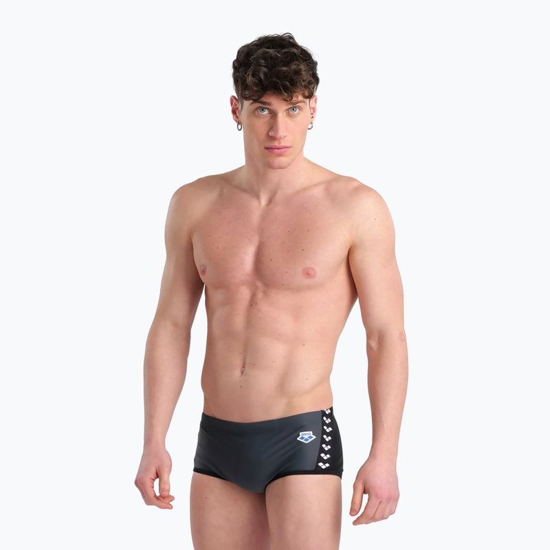 Men's arena Icons Swim Low Waist Short Panel grey 005052 /550 swim boxers 6