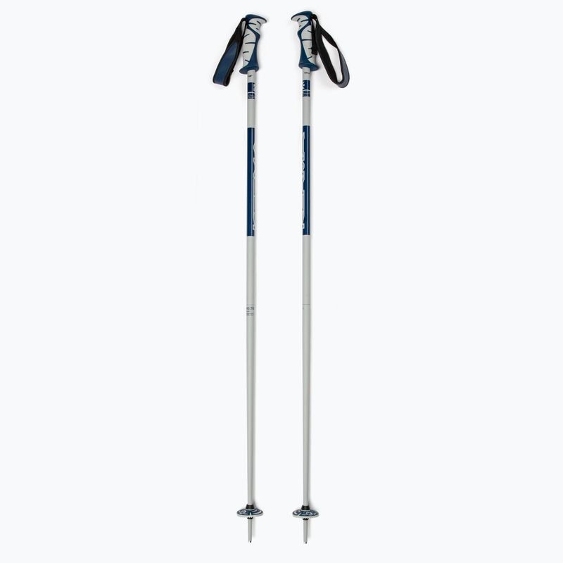 Dynastar Vector 4 ski poles grey DDJ2020
