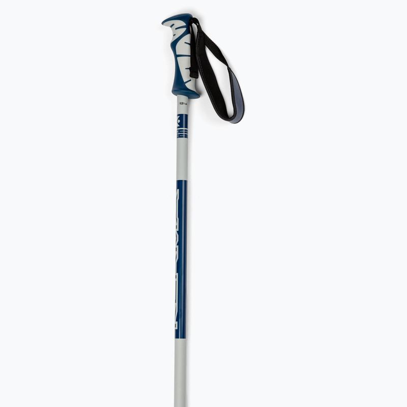 Dynastar Vector 4 ski poles grey DDJ2020 2