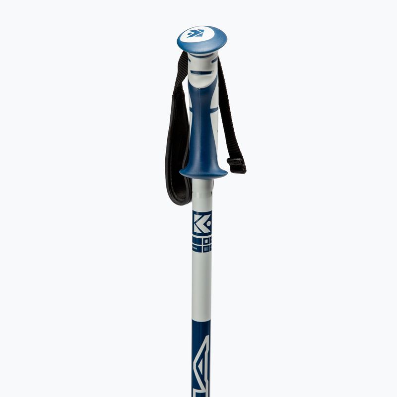Dynastar Vector 4 ski poles grey DDJ2020 3