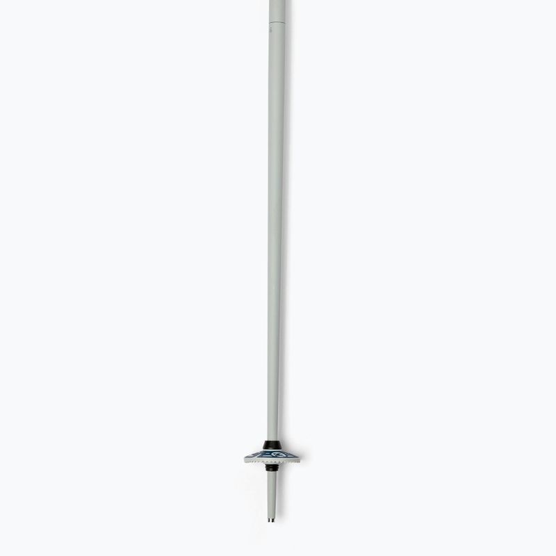 Dynastar Vector 4 ski poles grey DDJ2020 4