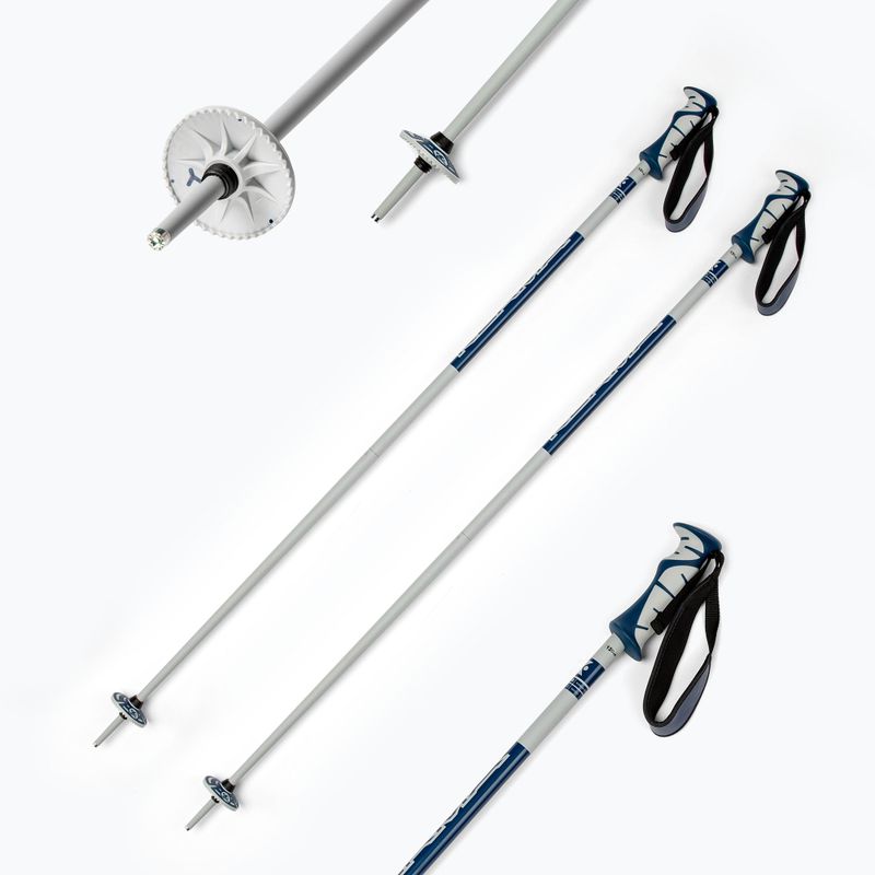 Dynastar Vector 4 ski poles grey DDJ2020 6