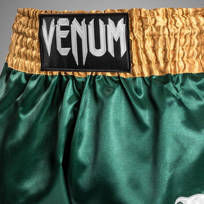 Men's training shorts Venum Classic Muay Thai green/gold/white 6