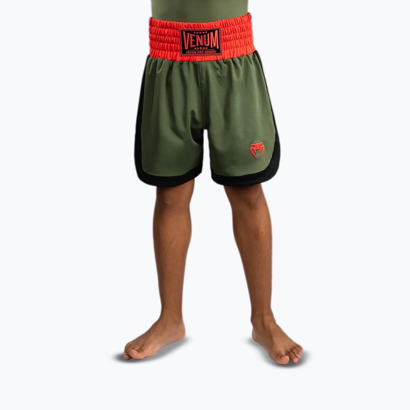 Venum Classic khaki children's training shorts