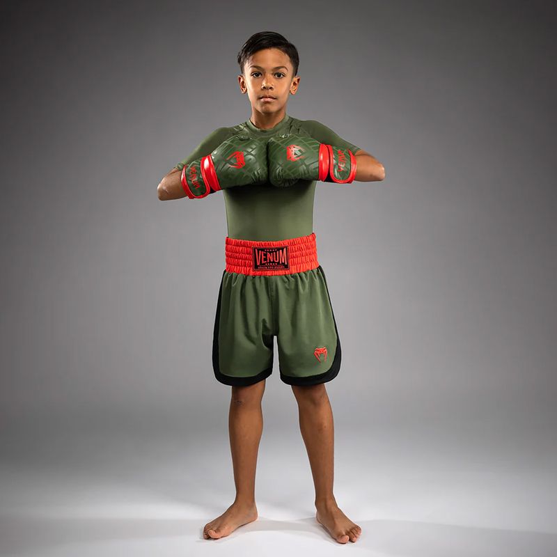 Venum Classic khaki children's training shorts 2