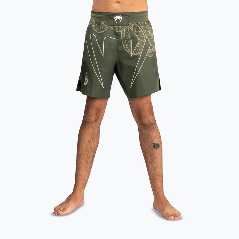 Men's training shorts Venum Serpenti Fight khaki/bronze/ivory