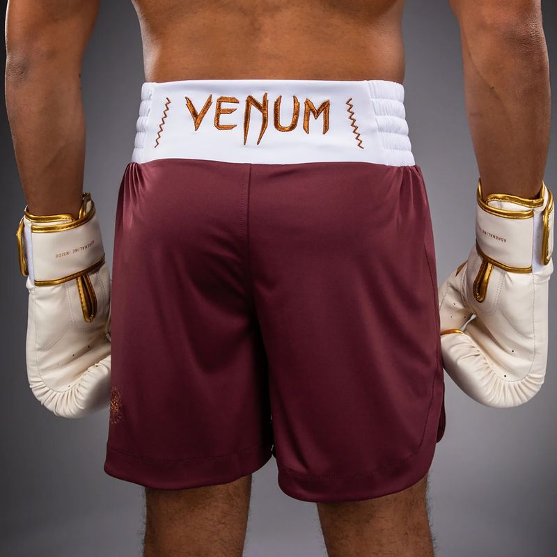 Men's training shorts Venum Classic Boxing burgundy 6