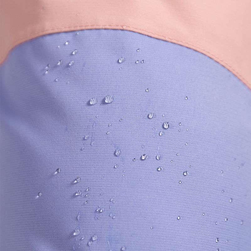 Women's snowboard trousers ROXY Chloe Kim Bib 2021 mellow rose 2