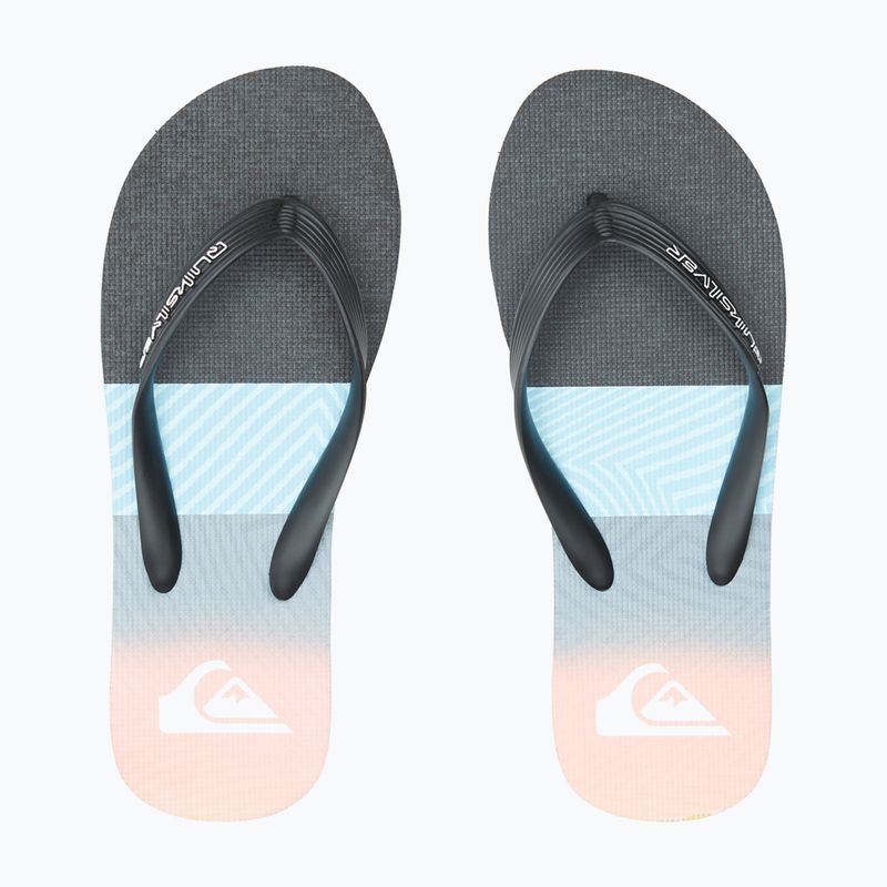 Quiksilver Molokai Panel men's flip flops navy blue AQYL101263-XBBN 12