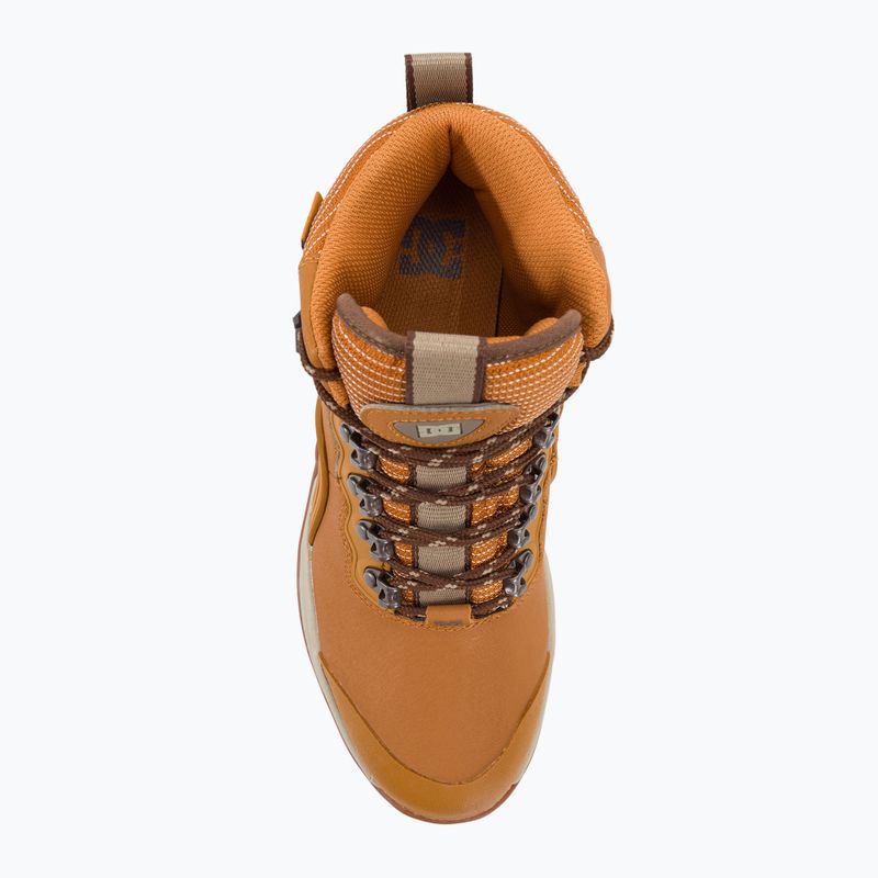 DC Navigator Winter wheat/dark chocolate men's shoes 6