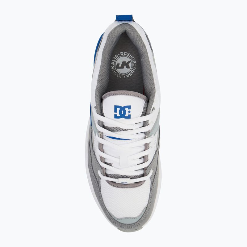 DC Ascend men's shoes white / grey / blue 5
