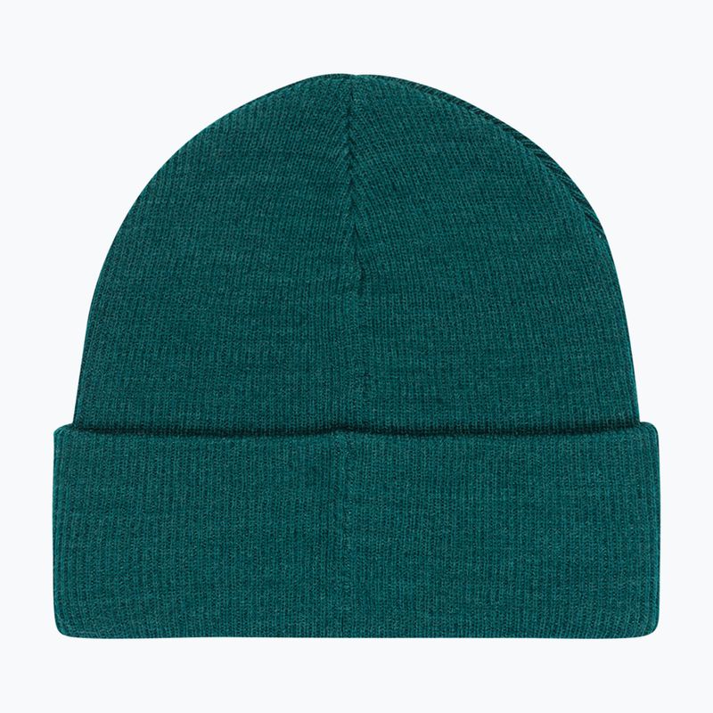 Men's winter hat DC Label deep teal 2