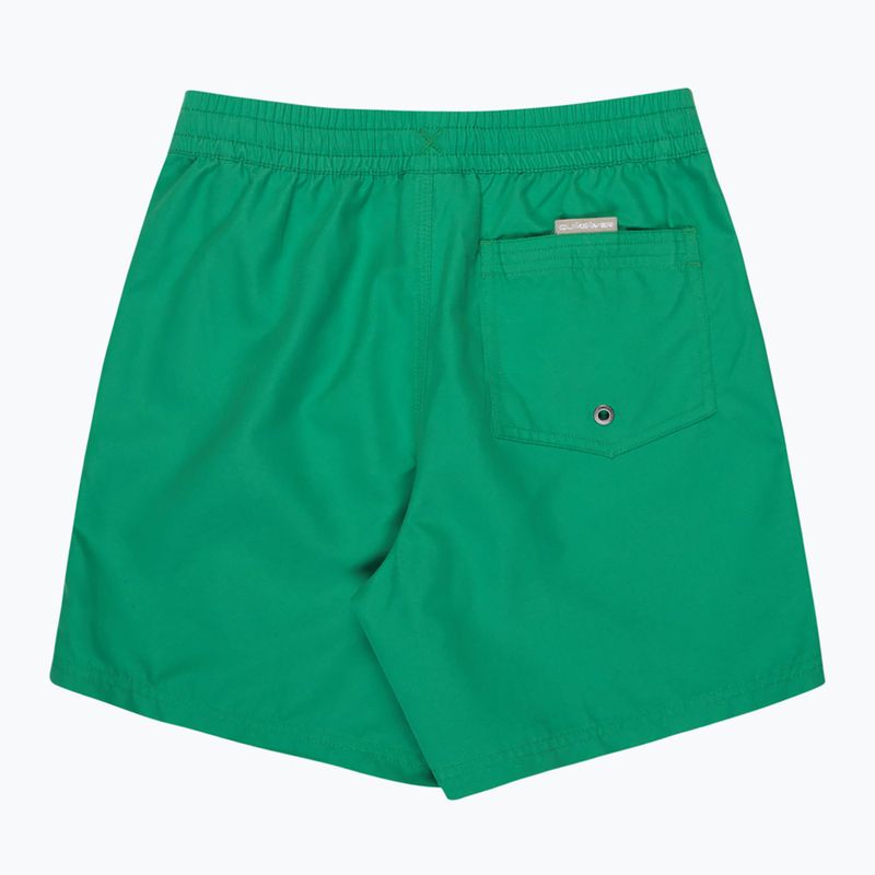 Children's swim shorts Quiksilver Everyday Volley 14" leprechaun 2